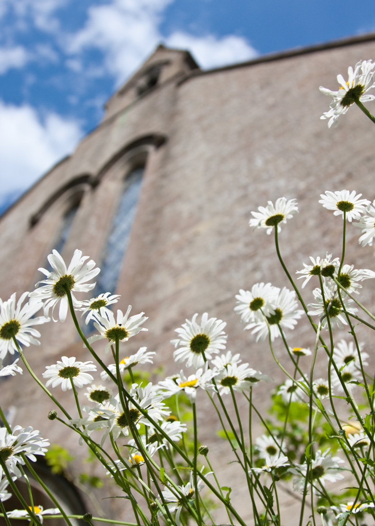 View of the east end of the church